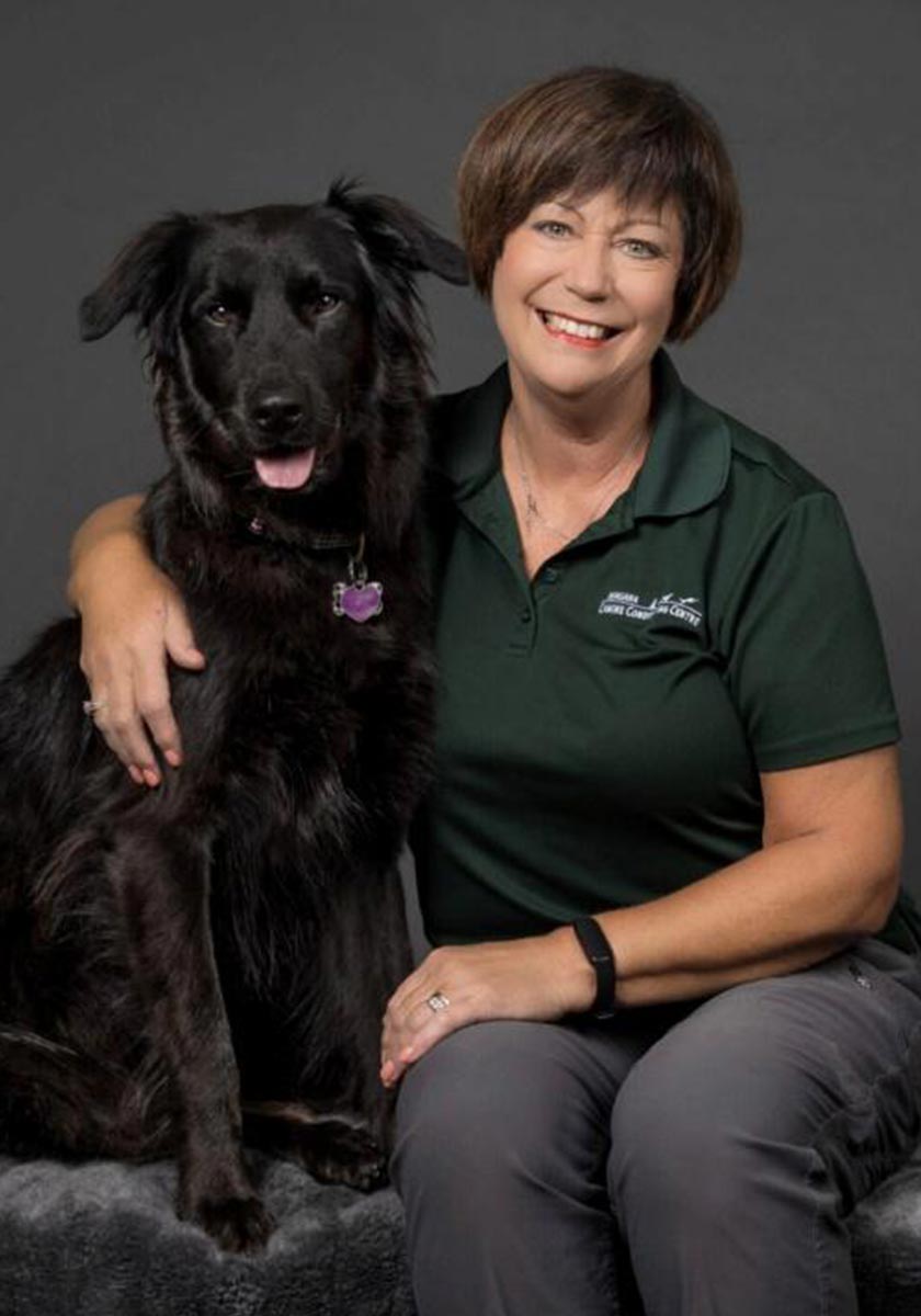 arac-executive-barbara