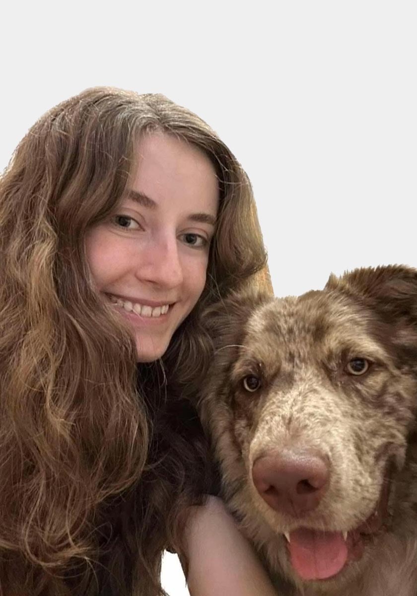 arac-executive-kayleigh