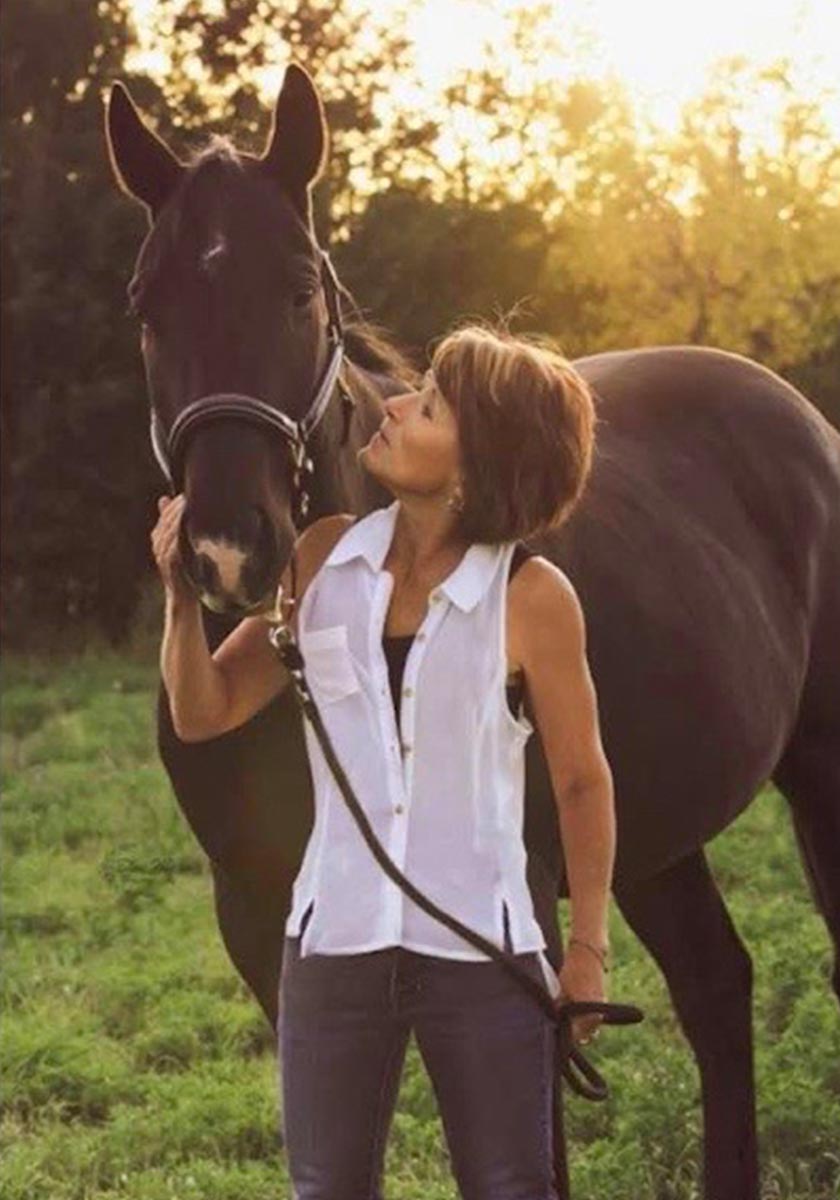 arac-executive-lee_v2