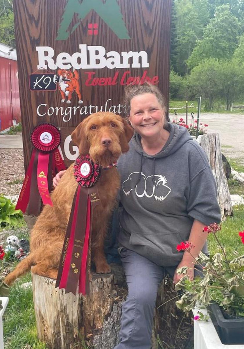 arac-executive-stella_v2